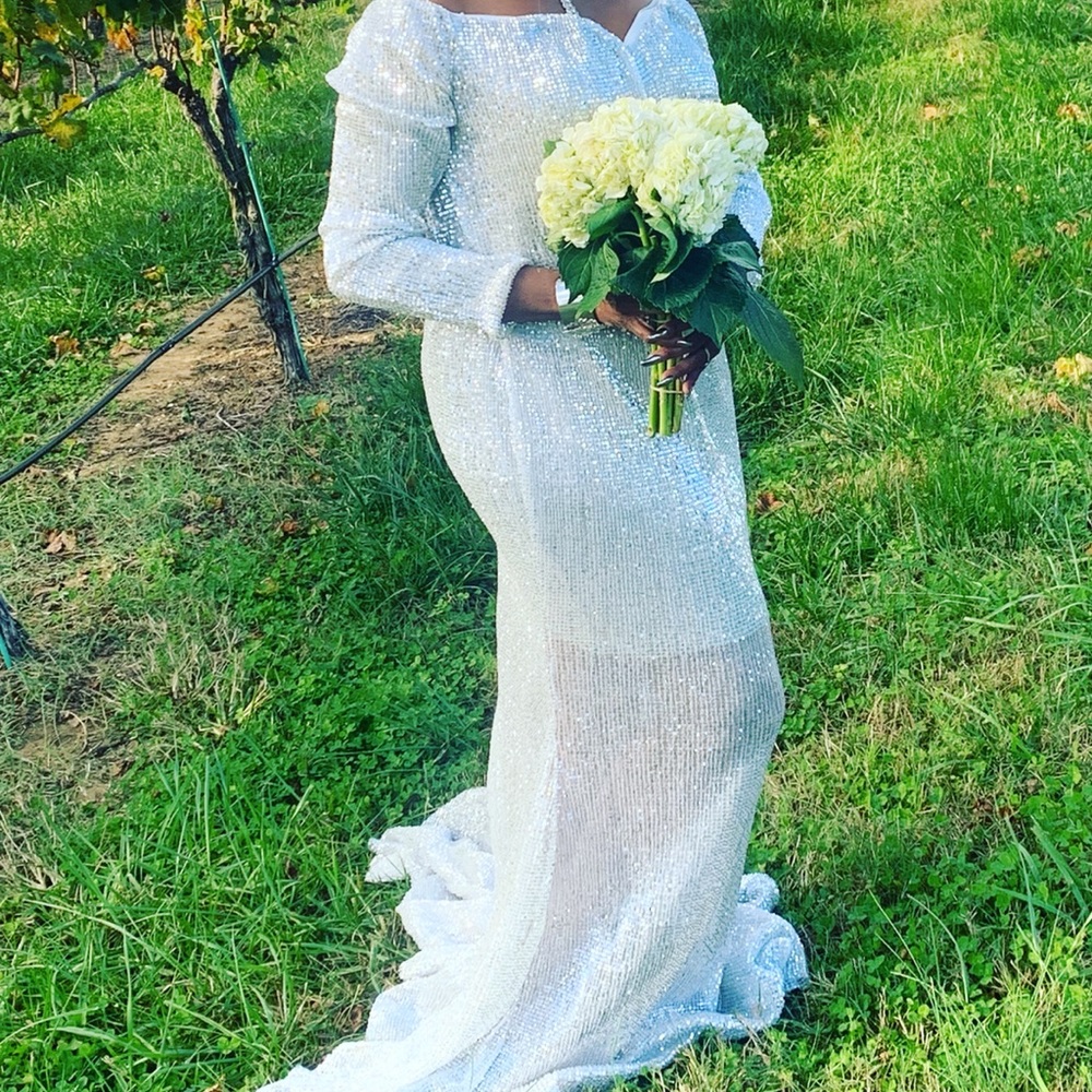 Silver Sequin - image 1